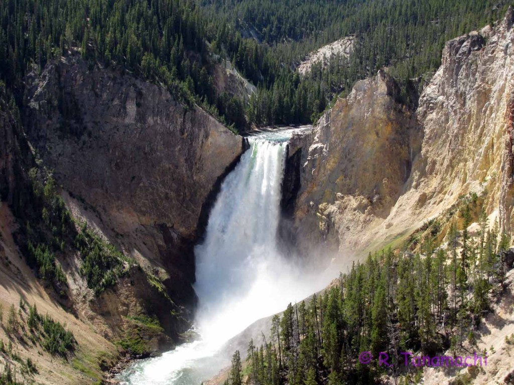 Lower Falls, Yellowstone NP