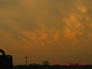 Mammatus under the second Paducah, TX supercell of 30 May 2012