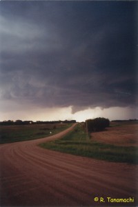 Benson, MN tornado of 11 June 2001